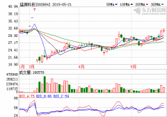 猛獅科技擬2億元參設(shè)新能源并購(gòu)基金