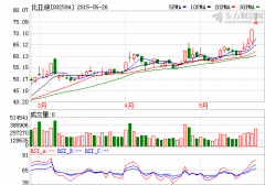 比亞迪擬定增加碼新能源汽車業(yè)務(wù) 市場募集資金開啟