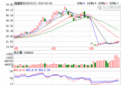 產(chǎn)業(yè)鏈布局加快 隆基股份擬35億投資山東光伏發(fā)電項(xiàng)目