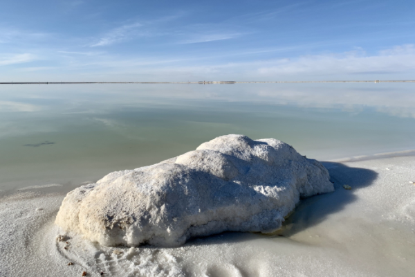 鋰礦如金礦！近10家鋰企凈利呈倍數增長，掌門人集體沖擊富豪榜