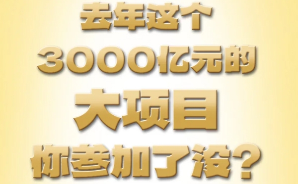 去年這個(gè)3000億元的大項(xiàng)目，你參加了沒(méi)？