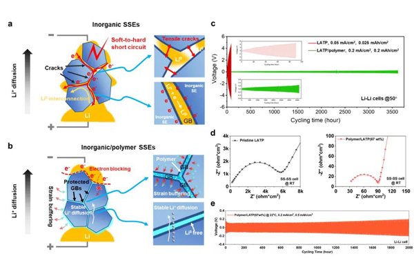 顯著提升電化學(xué)穩(wěn)定性!全固態(tài)電池失效機制研究取得重要突破