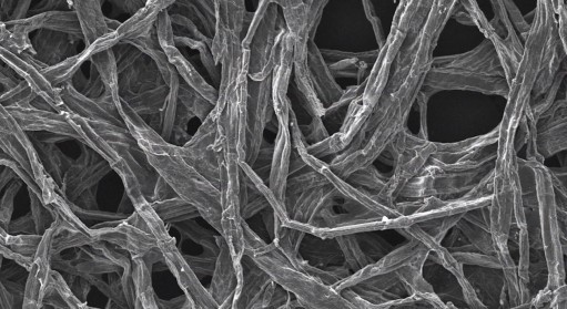 木質(zhì)纖維的特寫(xiě)