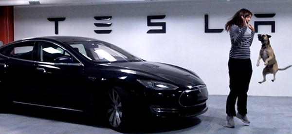 特斯拉：一家初創公司如何獲得成功