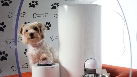 被蘋果逼急了？三星推出3萬美元高科技狗窩