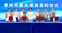 【一周項目動態】聚焦上半年正負極材料項目動態分析！格林美/中偉股份/石大勝華/LG化學收獲長單