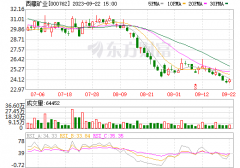 第七次掛牌！底價2.74億！西藏礦業再打折甩賣鋰業公司