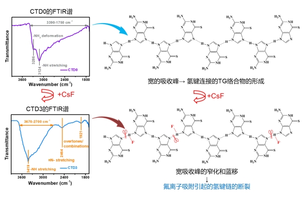 上海硅酸鹽所設(shè)計(jì)出砜類(lèi)電解液體系的室溫氟離子電池