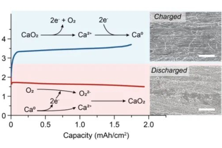可以“穿”在身上？我國科學家研發出室溫下可充鈣-氧電池