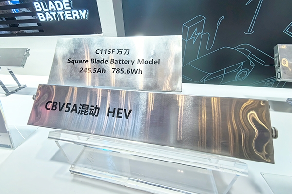 2024年國內動力電池TOP15:寧德時代/比亞迪鐵鋰裝車均超100GWh