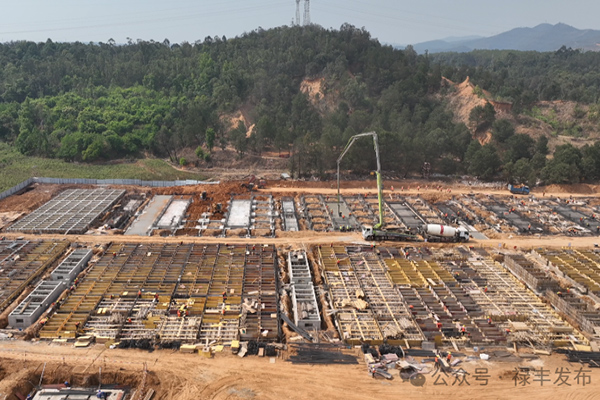 圖片來(lái)源：祿豐發(fā)布