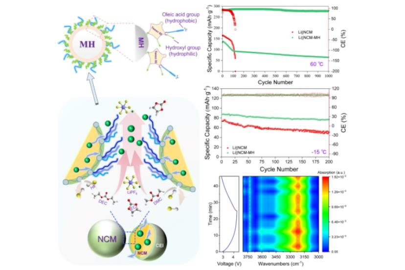 提升寬溫域性能！中科院鎂基鋰電池研究獲新進(jìn)展
