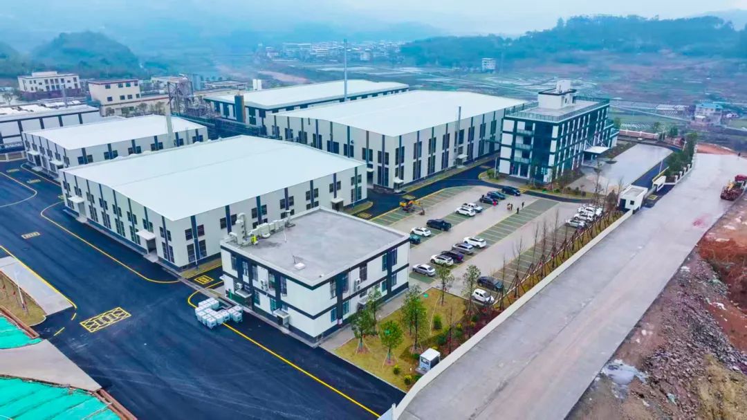 圖片來源：龍巖市融媒體中心