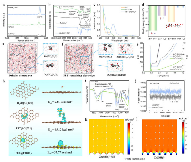 酒石酸鉀鈉對電解液離子結(jié)構(gòu)以及電極界面的調(diào)控機制