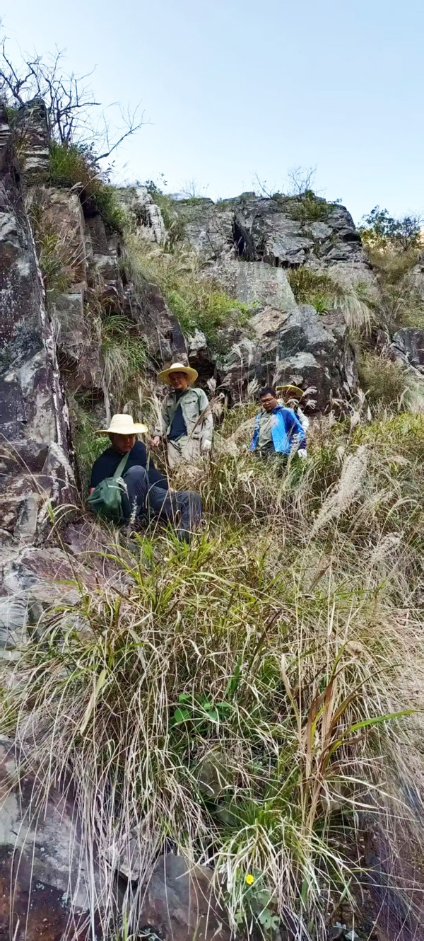 雞腳山礦區工作現場 圖片來源：湖南日報