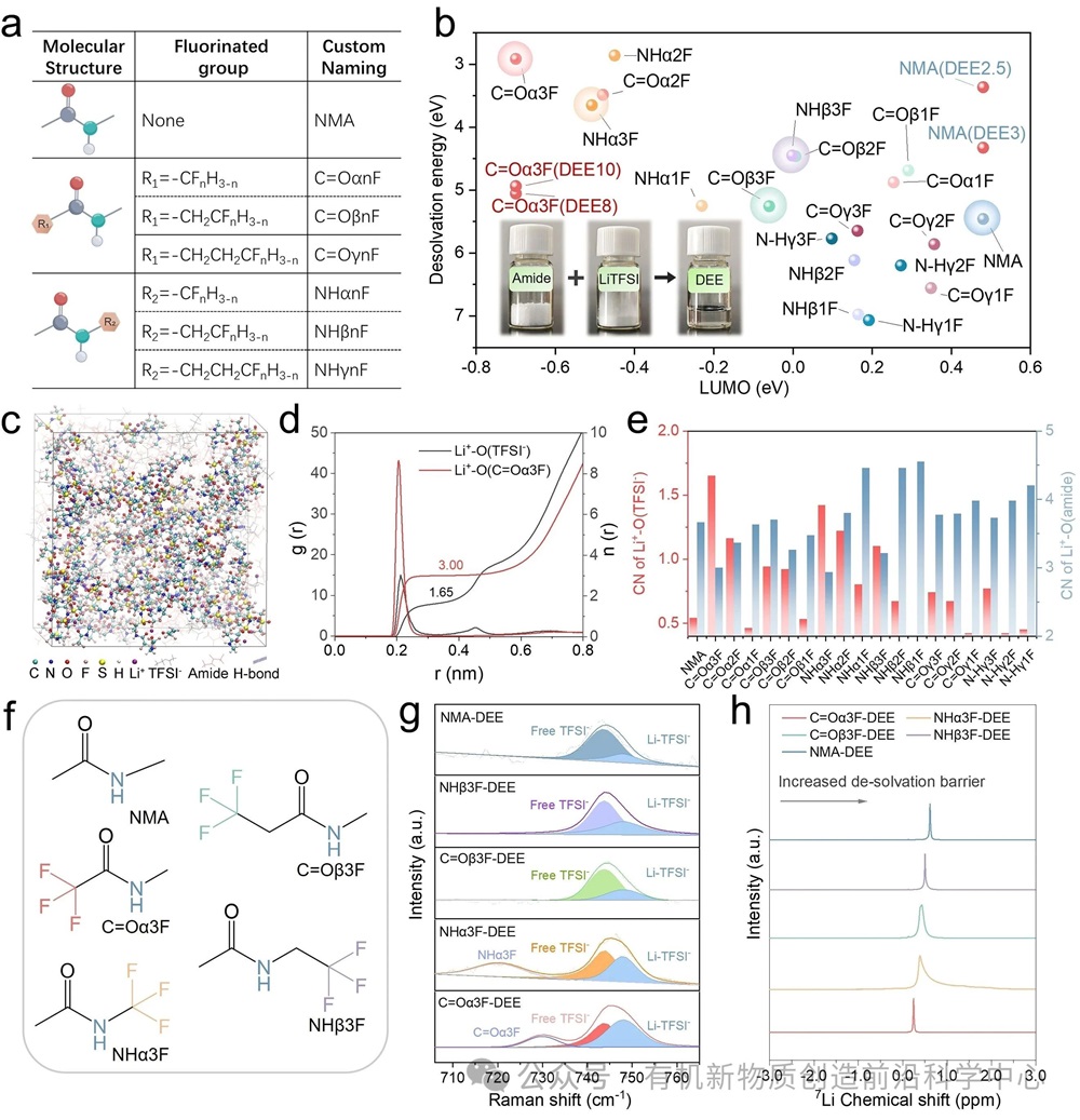 圖2. (a) 酰胺分子的自定義命名法。(b) 酰胺分子的LUMO能級及其在低共熔電解質（DEE）中與Li?的去溶劑化能量，插圖為DEE的制備過程。圖中未標注的數據點均對應DEE4。(c) C=Oα3F-DEE的快照及溶劑化結構，球棍模型顯示了包含陰離子的溶劑化結構。(d) C=Oα3F-DEE的徑向分布函數（RDF）。(e) 分子動力學模擬得到的Li+–O(酰胺)和Li?–O(TFSI?)配位數（CNs）。(f) 主要實驗對象的化學結構。(g) DEEs的擬合拉曼光譜。(h) DEEs的核磁共振光譜（NMR）。