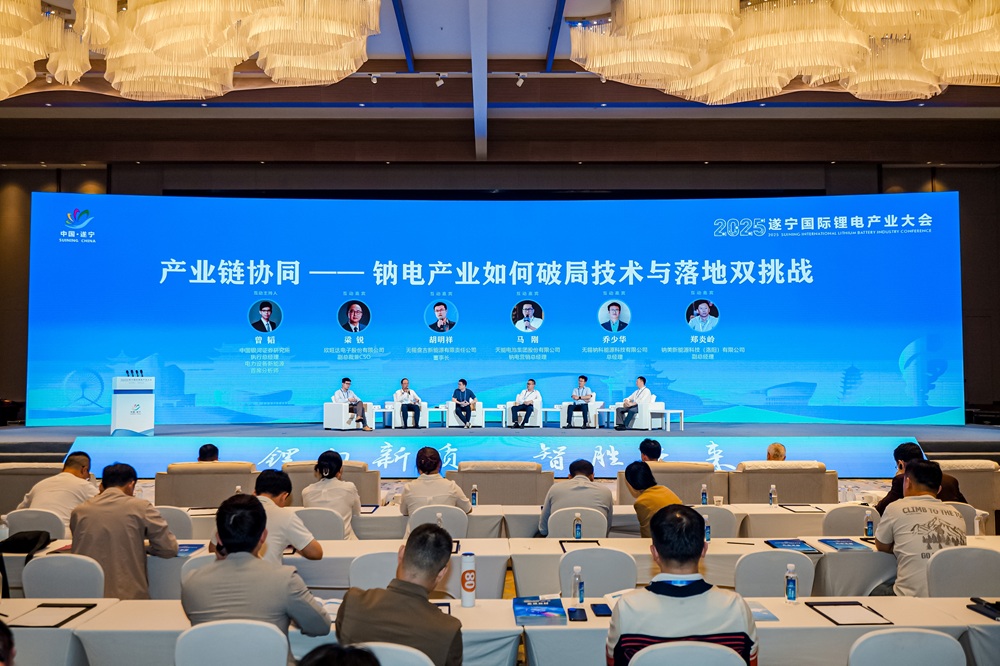 2025遂寧國際鋰電產(chǎn)業(yè)大會(huì)鈉電池分論壇互動(dòng)環(huán)節(jié)