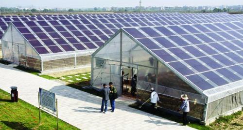 光伏行業(yè)：政策去產(chǎn)能PK“雙反”魔咒？