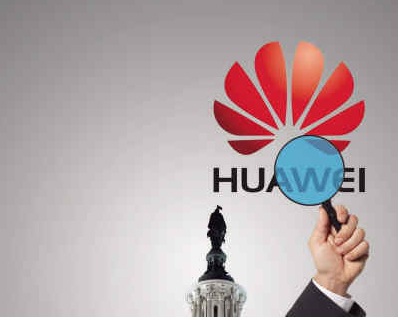 華為動物哲學：狼性文化、烏龜精神和眼鏡蛇特質