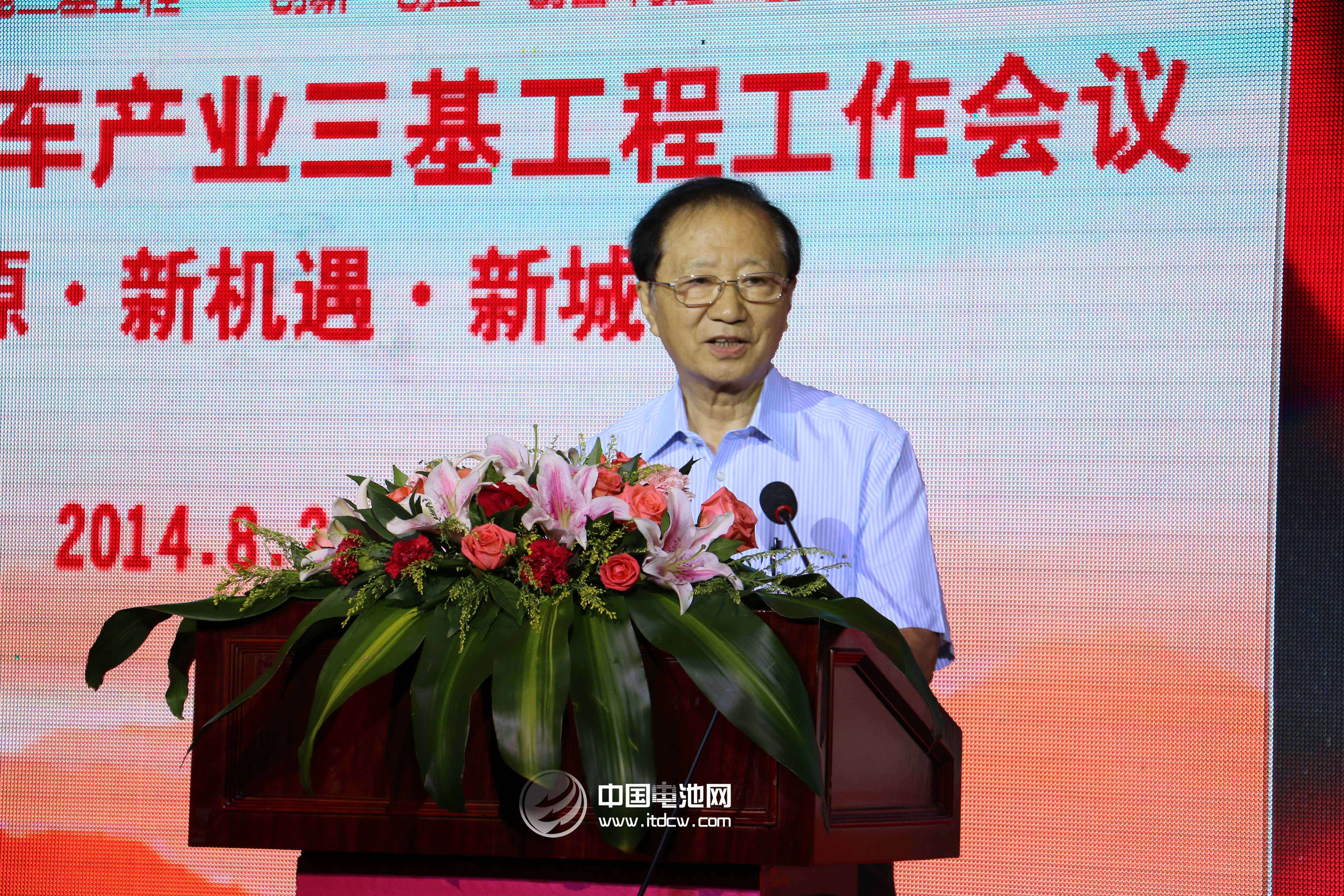 全國政協經濟委員會副主任陳清泰