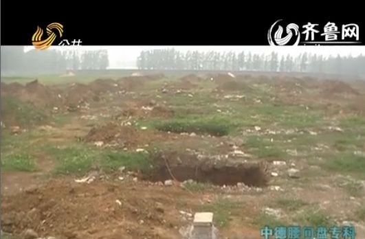 山東工業園違法占用耕地 鎮干部變電池公司聯系人