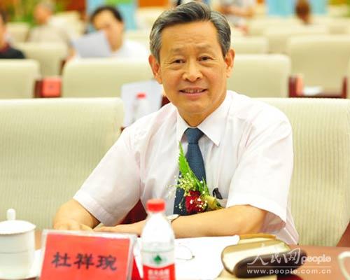 杜祥琬：新能源汽車的價(jià)值取決于電的“綠色化”