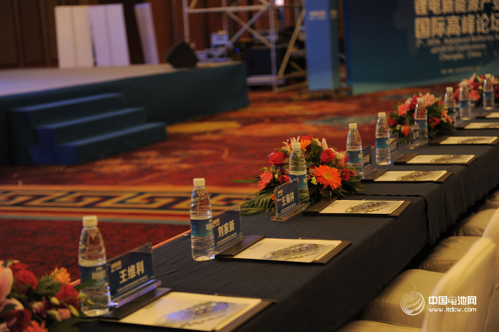 徐晨曦:中國電動車企不應該各樹各的樁 徐晨曦:中國電動車企不應該各樹各的樁