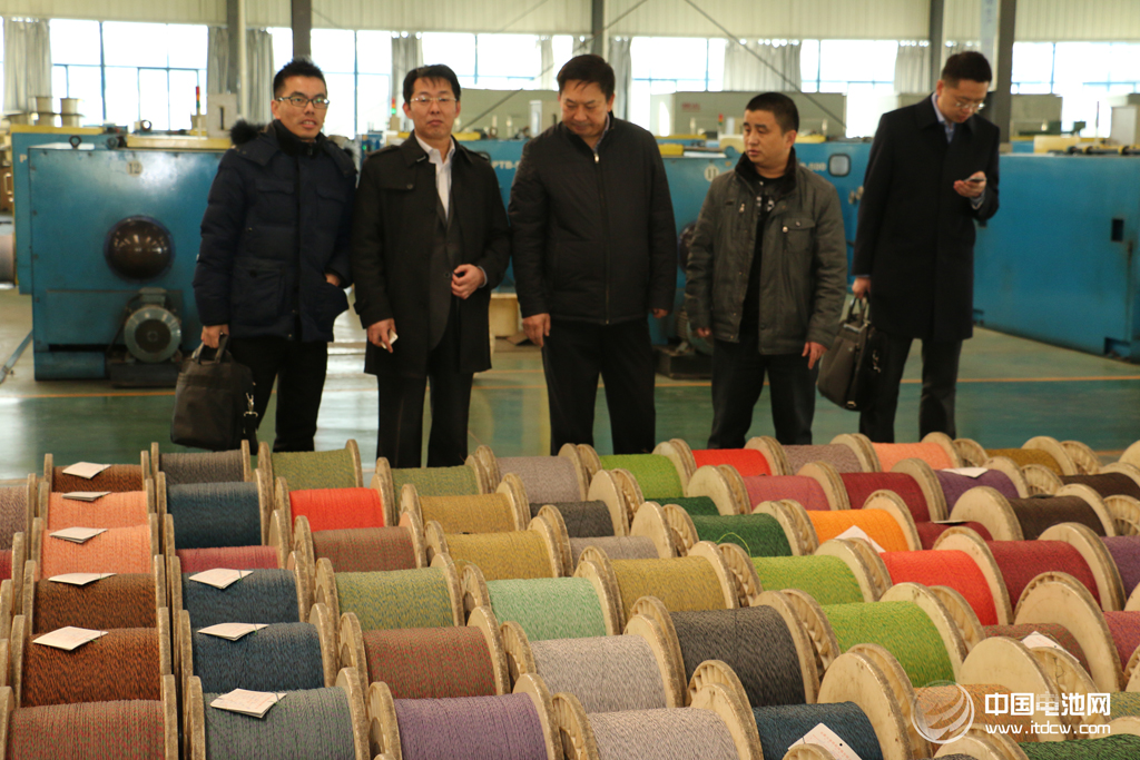 中國電池網(wǎng)率團參觀考察安徽天康集團鋰電新能源