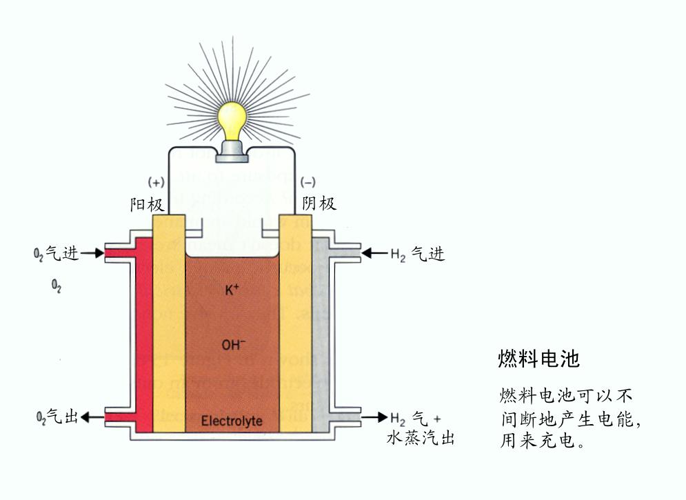 新研究揭示細菌酶制取甲酸機制 可用于造燃料電池 新研究揭示細菌酶制取甲酸機制 可用于造燃料電池