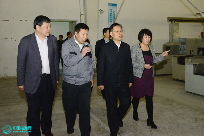 天津濱海新區區委書記宗國英視察天津斯特蘭