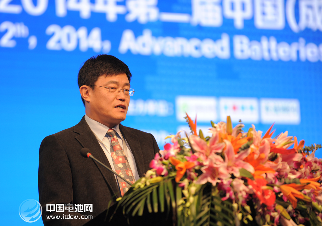 王子冬 中國電池網資料圖片