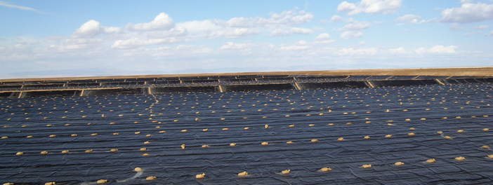 青海鋰業攻破鹽湖鹵水制取電池級碳酸鋰產業化技術 青海鋰業攻破鹽湖鹵水制取電池級碳酸鋰產業化技術