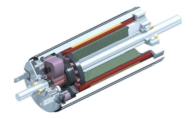 誰在看空稀土永磁電機 中國電動車死無葬身之地？