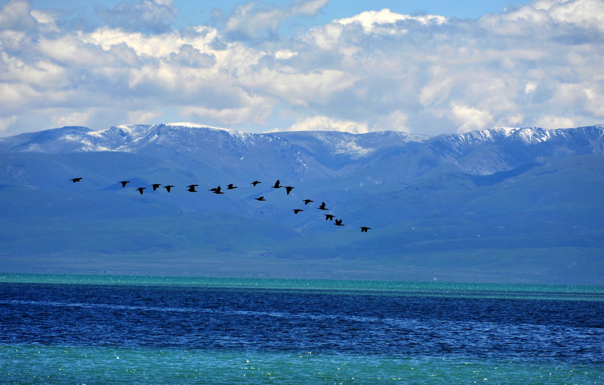 追溯鋰產(chǎn)業(yè)成長發(fā)展 全國首個鋰產(chǎn)業(yè)展覽館落戶青海