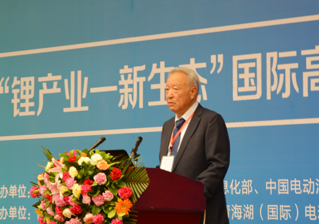 全國(guó)清潔汽車(chē)行動(dòng)協(xié)調(diào)小組專(zhuān)家組組長(zhǎng)王秉剛