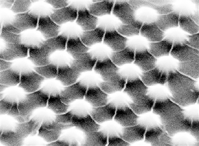 拉伸二硫化鉬晶體造出能隙可變半導體 可用研發太陽能電池 拉伸二硫化鉬晶體造出能隙可變半導體 可用研發太陽能電池