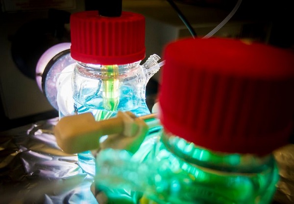 德國研制新光電化學電池  可長期儲存光電子能量