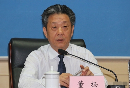 董揚:政策穩定是新能源汽車逆勢增長重要原因 董揚:政策穩定是新能源汽車逆勢增長重要原因