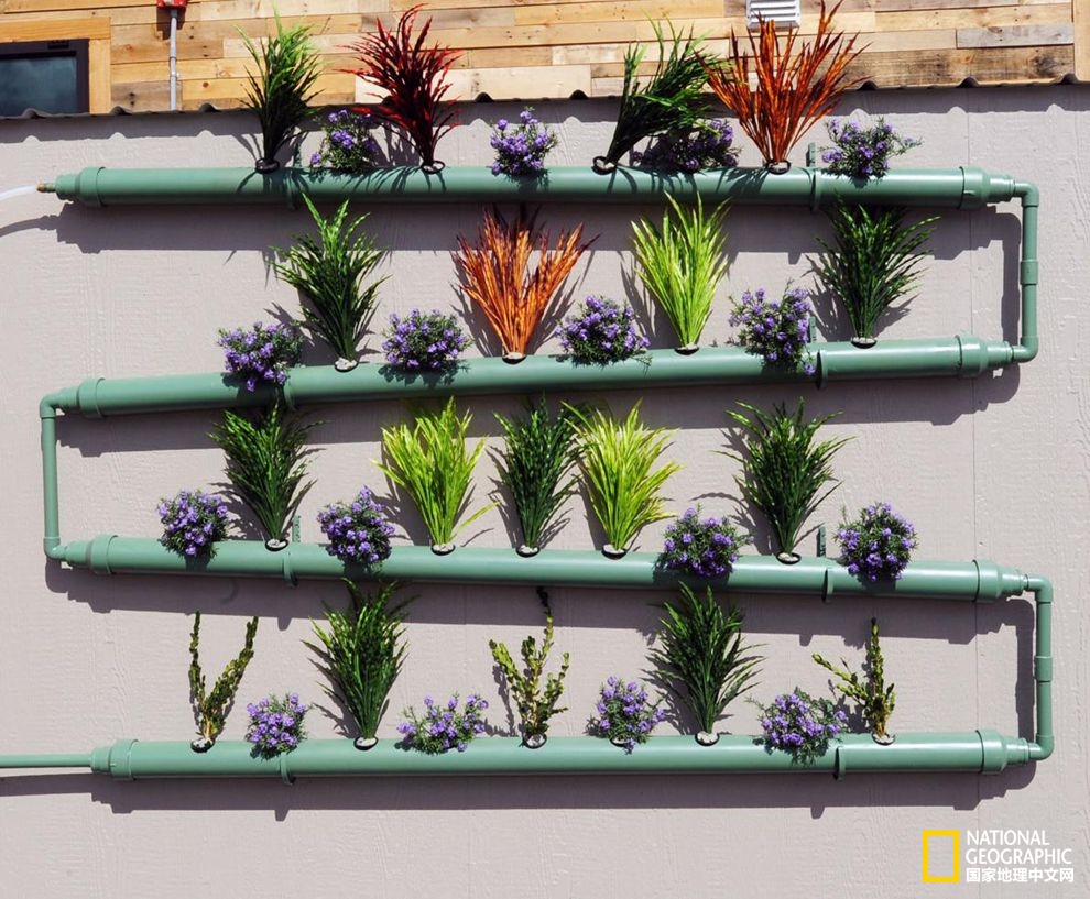 2015年太陽能十項全能競賽：未來智能家居不只有太陽能