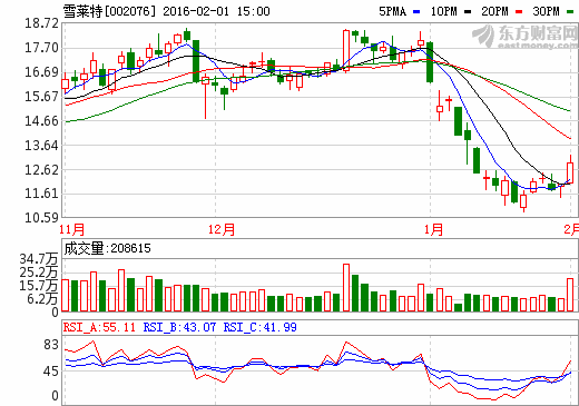 雪萊特?cái)M定增4.7億元 無(wú)人機(jī)和智慧路燈成未來(lái)雙引擎