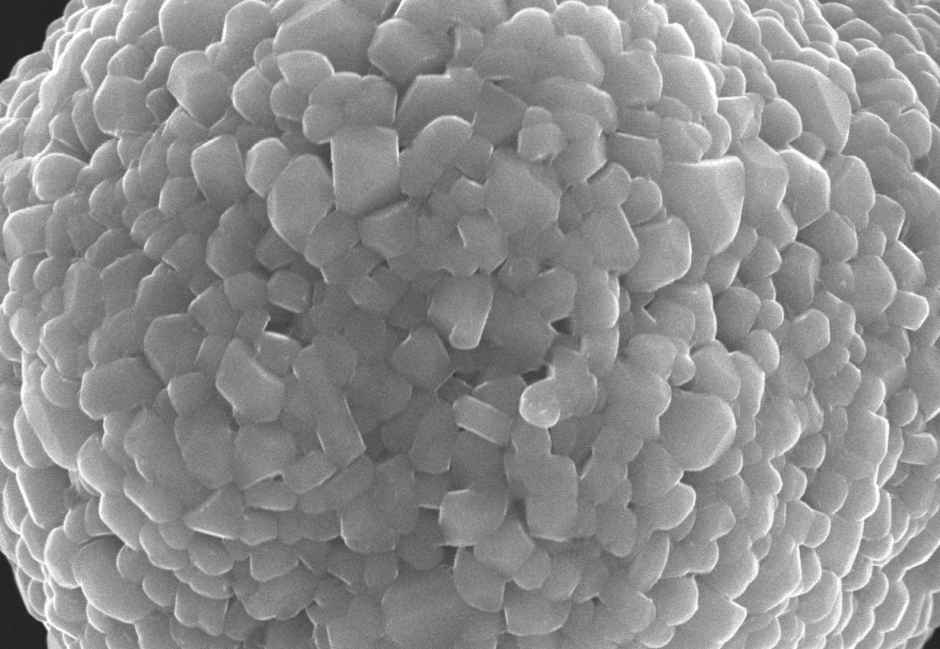 總投資2.12億元 英德擬擴建年產1萬噸鋰電池正極材料