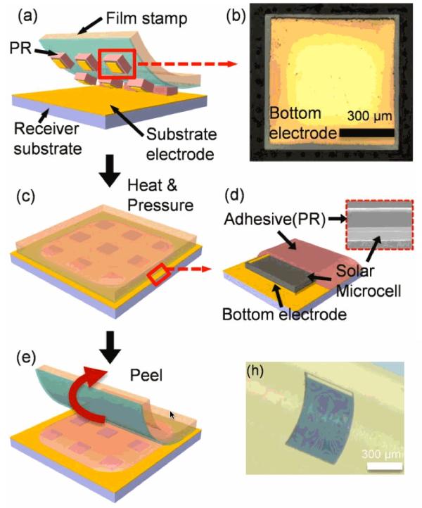 超薄柔性砷化鎵太陽能微電池的制作流程。 超薄柔性砷化鎵太陽能微電池的制作流程。