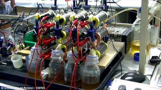 英發(fā)明“尿液電池” 半升尿液可為智能機(jī)充電3小時(shí)