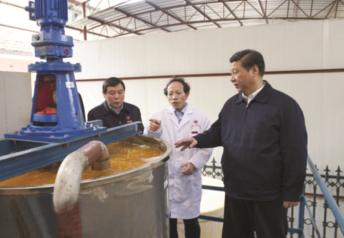 習近平主席視察寧鄉