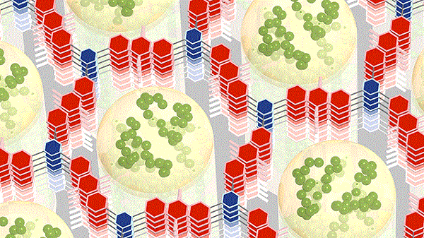 研究人員開發(fā)出儲(chǔ)能10倍 充電速度也超快的新型電池材料