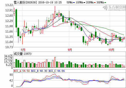 雪人股份 雪人股份