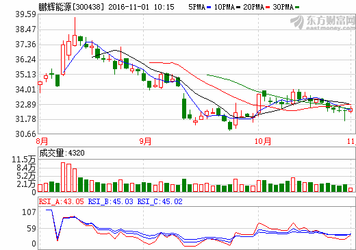 鵬輝能源 鵬輝能源