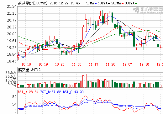 鹽湖股份 鹽湖股份