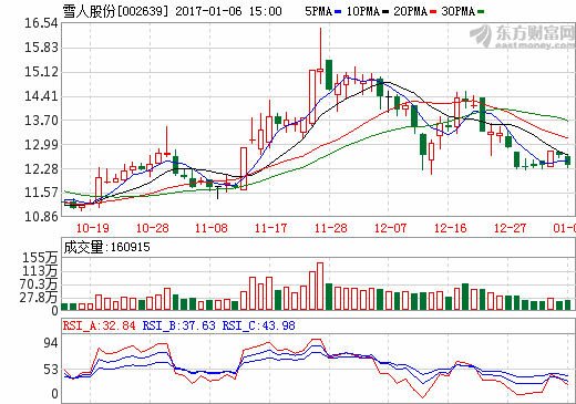 雪人股份股價(jià)走勢圖