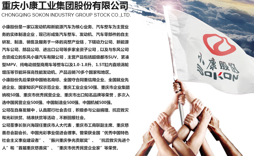 小康股份 小康股份